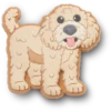 «B’golden Doodle Puppy Jibbitz»-skocharm