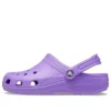 Classic Clog «Purple»