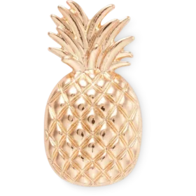 Gull ananas Jibbitz-skocharm