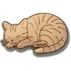 Jibbitz-charms med stripet katt