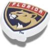 Nhl® Florida Panthers Jibbitz™-charms