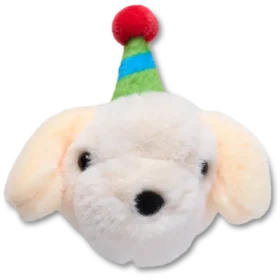 Record Your Own Sound Birthday Jibbitz™-charms