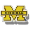 University of Michigan Jibbitz™-charms